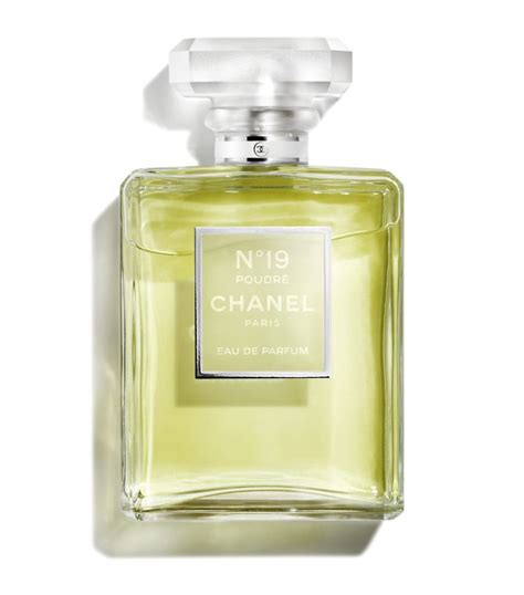 n 19 chanel poudre|Chanel no 19 price.